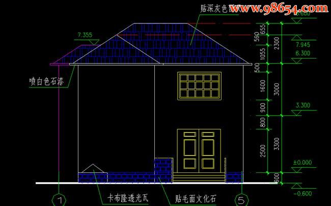 首层面积290平方米2层别墅C型施工图正立面图