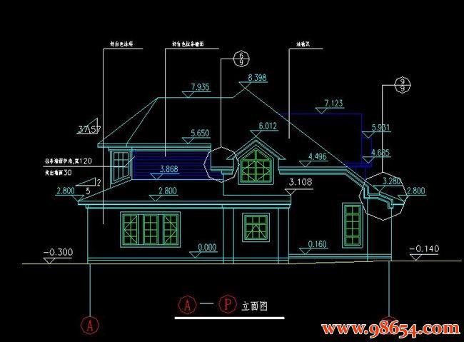 首层面积226平方米2层住宅别墅施工图正立面图